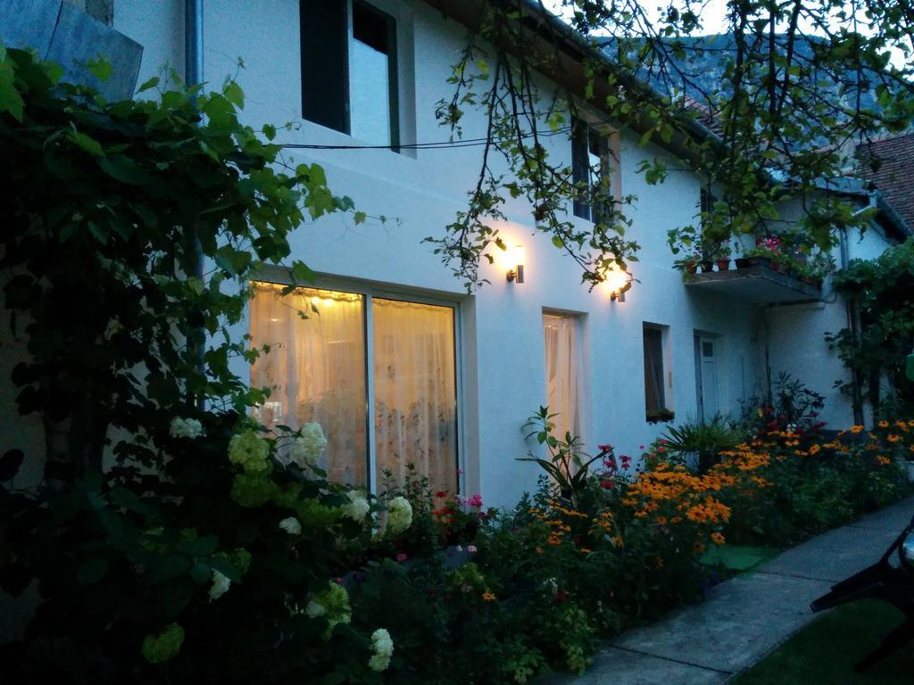 Pension Casa Anadam Baile Herculane Ngoại thất bức ảnh