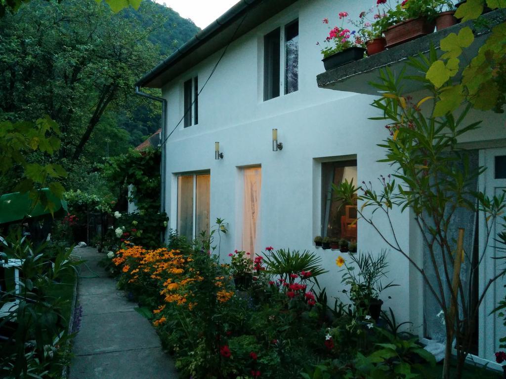 Pension Casa Anadam Baile Herculane Ngoại thất bức ảnh